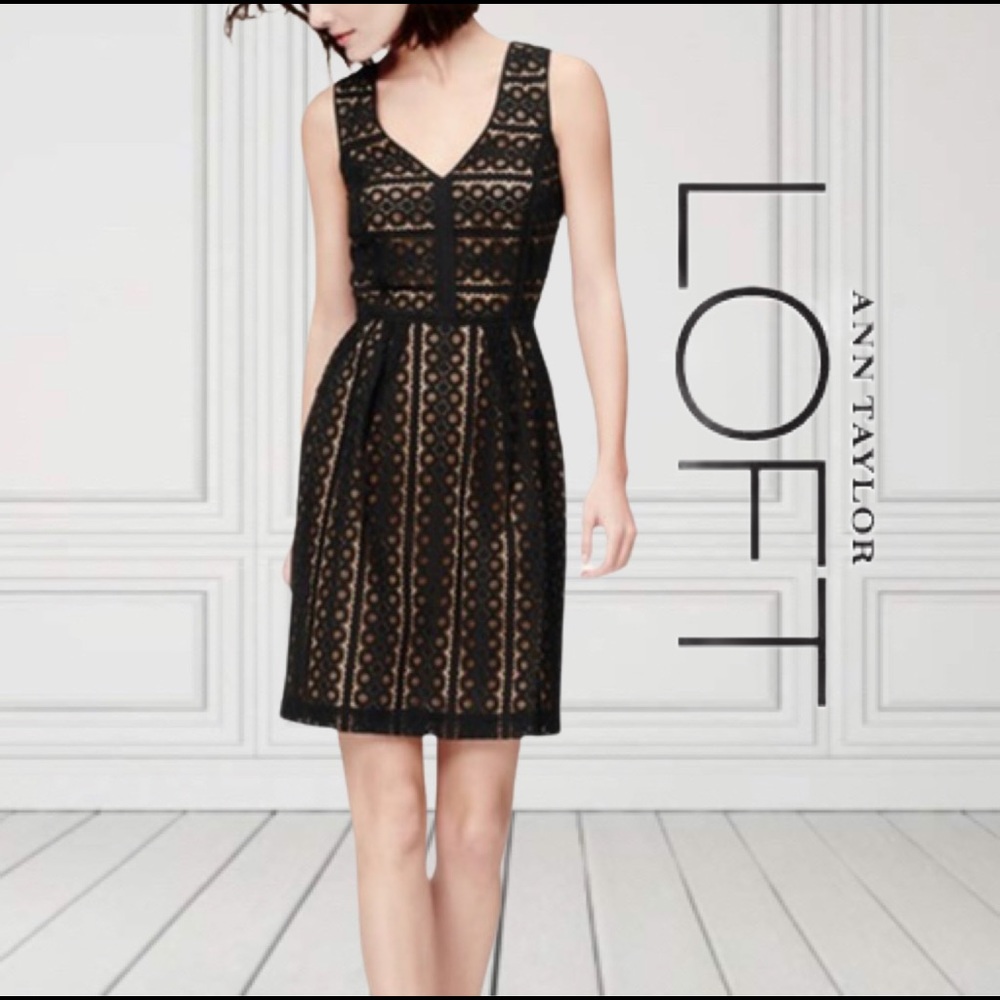 Loft Geo Striped Lace Dress